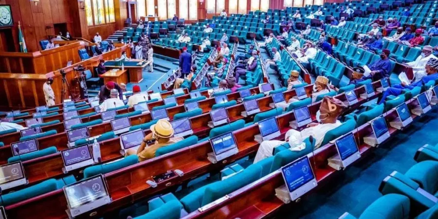 Members of the Nigerian House of Representatives during a session, reflecting the legislature's commitment to addressing illegal mining and ensuring accountability in the solid minerals sector. The interior of the Nigerian House of Representatives chamber, symbolizing legislative efforts to combat illegal mining and enforce license compliance.