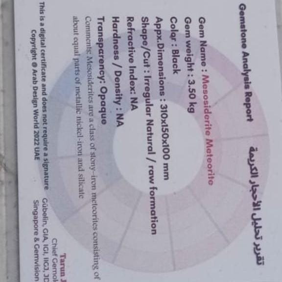 Mesosidorite meteorite