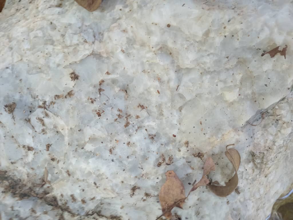 Massive Limestone Deposit Available for Acquisition in Kogi State