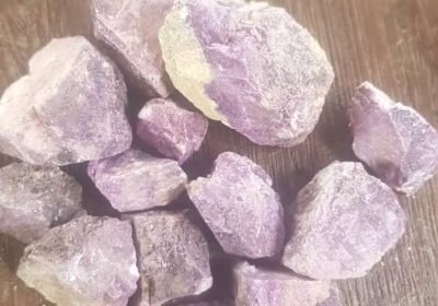 7109f435-3040-44ef-8362-713261a6e358