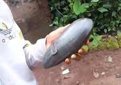 Screenshot_20250927-143610