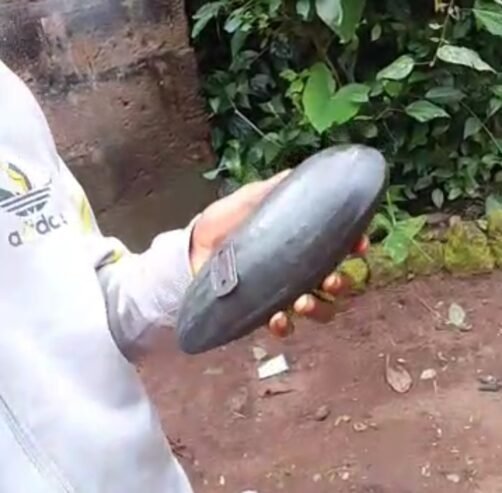 Thunder stone